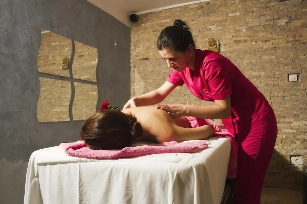Queen Spa Accommodation Bucareste 3*,